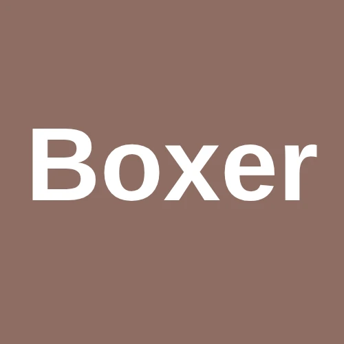 Boxer logo