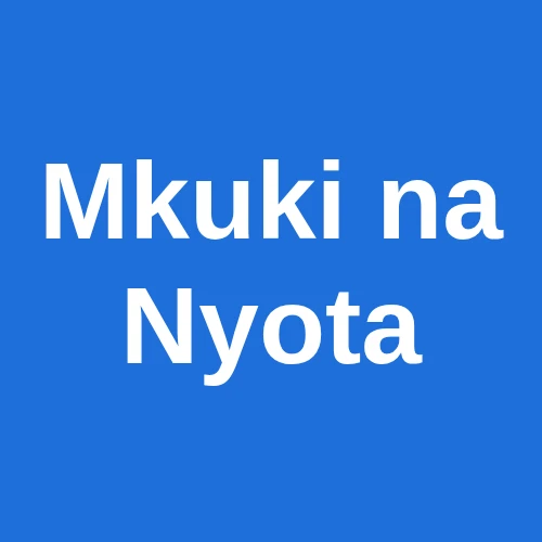 Mkuki na Nyota logo