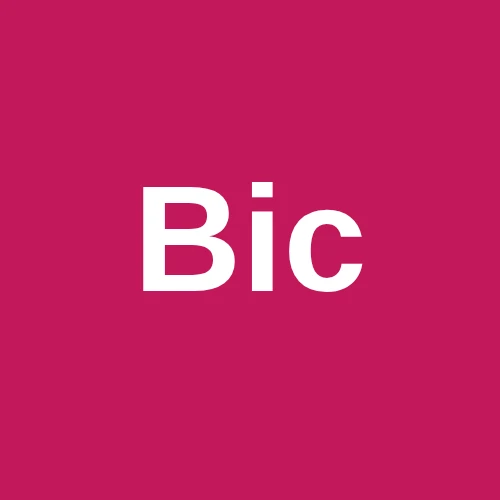 Bic logo