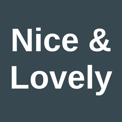 Nice & Lovely logo